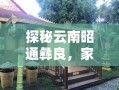 探秘云南昭通彝良，家具购物的地道指南