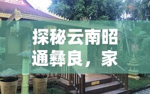 探秘云南昭通彝良，家具购物的地道指南