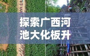探索广西河池大化板升家具的魅力之旅