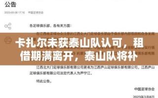 卡扎尔租借期满离队，泰山队计划引进强力中卫补强阵容