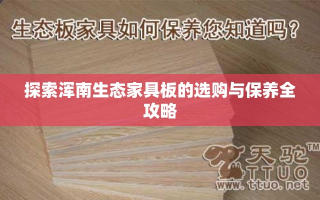 探索浑南生态家具板的选购与保养全攻略