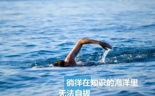 解锁游泳效率的秘密，实用技巧大揭秘