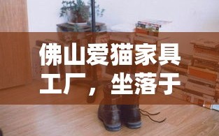 佛山爱猫家具工厂，坐落于中国广东省佛山市，是一家专注于宠物家具设计与制造的企业。该厂自成立以来，始终秉持着以爱之名，打造温馨家园的理念，致力于为宠物及其主人提供安全、舒适、美观的家具产品。