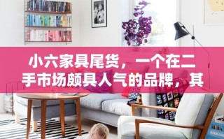 小六家具尾货，一个在二手市场颇具人气的品牌，其独特的魅力在于那些被精心挑选的576件家具尾货。这些家具，每一件都承载着文华的韵味，是品质与艺术的完美结合。