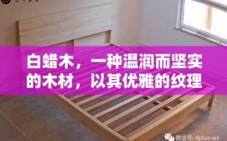 白蜡木，一种温润而坚实的木材，以其优雅的纹理和良好的耐用性在定制家具领域中备受青睐。今天，我们就来聊聊如何利用白蜡木木皮打造出既美观又实用的家具，让你的家在自然与现代之间找到完美的平衡点。