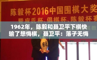 陈毅元帅与聂卫平对弈，落子无悔的坚持