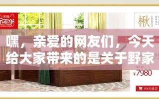 嘿，亲爱的网友们，今天给大家带来的是关于野家家具旗舰店的地址攻略，这可是个实用贴哦！