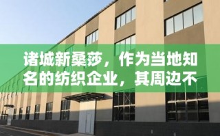 诸城新桑莎，作为当地知名的纺织企业，其周边不仅汇聚了众多纺织相关的产业，也悄然兴起了一个小型的家具市场。这里不仅为当地居民提供了丰富的家居选择，也成为了不少外来游客探寻当地生活气息的必经之地。
