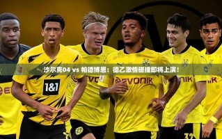 德乙激战，沙尔克04对阵帕德博恩，谁将主宰赛场？