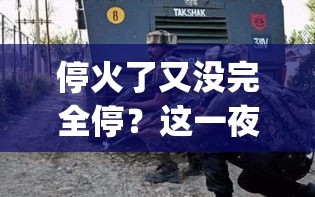 印巴边境局势紧张，停火未完全实现，双方各执一词