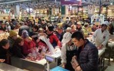 探索大象耳朵家具的全国发货攻略，从选品到收货的全方位指南