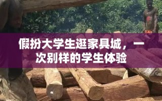 假扮大学生逛家具城，一次别样的学生体验