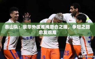 泰山队外援豪华阵容下的磨合挑战与争冠困境