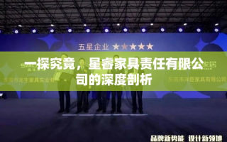 一探究竟，星睿家具责任有限公司的深度剖析