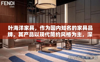 叶海洋家具，作为国内知名的家具品牌，其产品以现代简约风格为主，深受年轻消费者的喜爱。其价格因系列、材质及设计不同而有所差异，但总体上保持了较高的性价比。