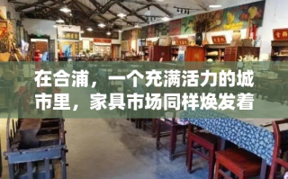 在合浦，一个充满活力的城市里，家具市场同样焕发着独特的魅力。这里不仅有传统手工艺的传承，还融入了现代设计的元素，吸引了众多网红家具的入驻。