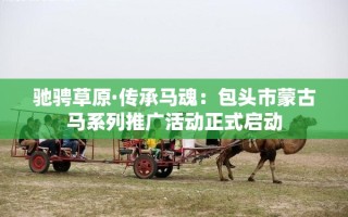 驰骋草原·传承马魂包头市蒙古马系列推广活动盛大启动