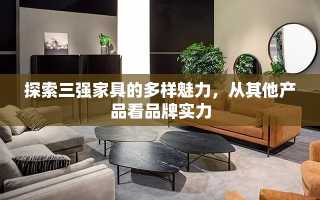 探索三强家具的多样魅力，从其他产品看品牌实力