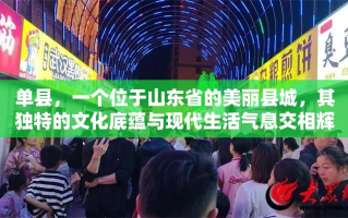 单县，一个位于山东省的美丽县城，其独特的文化底蕴与现代生活气息交相辉映，为当地市场带来了丰富的商业活力。在众多商铺中，369红木家具店以其独特的魅力和卓越的品质，成为了众多消费者心中的优选之地。