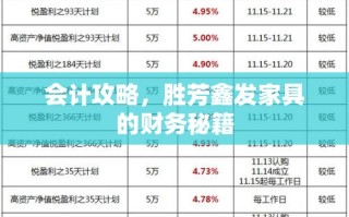 会计攻略，胜芳鑫发家具的财务秘籍