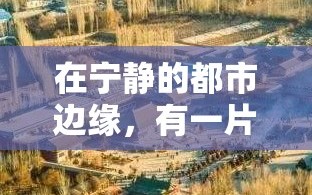 在宁静的都市边缘，有一片被自然环抱的绿洲——森林心情家具有限公司的所在地。这里，远离了城市的喧嚣，空气中弥漫着树木的清新与泥土的芬芳，仿佛能听见每一片叶子在微风中低语，每一次呼吸都充满了生机与和谐。