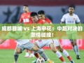 成都蓉城与上海申花，中超赛场上的激情碰撞