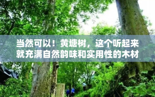 当然可以！黄塘树，这个听起来就充满自然韵味和实用性的木材，确实在制作家具方面有着不俗的表现。它不仅外观上温润而富有质感，更重要的是在耐用性和稳定性上也是可圈可点。
