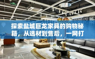 探索盐城巨龙家具的购物秘籍，从选材到售后，一网打尽