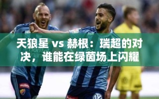 天狼星VS赫根，瑞超绿茵场上的闪耀对决