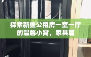探索新疆公租房一室一厅的温馨小窝，家具篇
