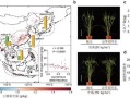 中国科学家发现关键基因，助力水稻抗热新突破