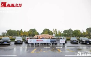 探索上海龙凤家具的直销之旅，从选材到安装的全面攻略