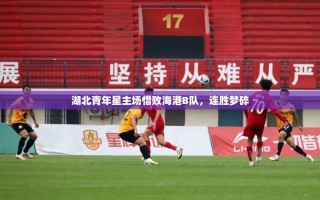 湖北青年星主场惜败海港B队，连胜梦碎