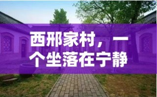 西邢家村，一个坐落在宁静乡村的角落，却因一家独特的家具店而闻名遐迩。这家店，名为古韵轩，自19世纪末叶以来，便以其精湛的手艺和独特的风格，成为了当地乃至周边地区居民选购家具的首选之地。