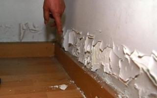 木质家具除霉，让你的家居焕然一新