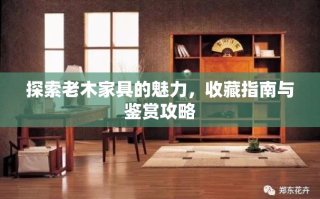 探索老木家具的魅力，收藏指南与鉴赏攻略