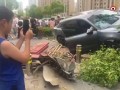 福州一汽车撞人事件致2死，警方通报详情