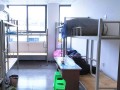 送新家具，乔迁新居的实用与心意之选
