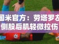 国米官方，劳塔罗左侧股后肌轻微拉伤，伤情需谨慎处理