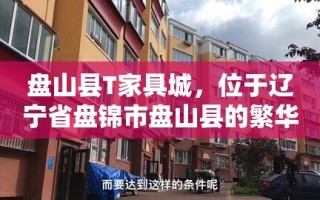 盘山县T家具城，位于辽宁省盘锦市盘山县的繁华地段，是当地知名的家居购物中心，自开业以来便以其丰富的商品种类、实惠的价格和优质的服务赢得了众多消费者的青睐。