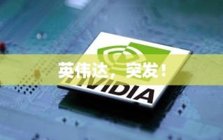英伟达突发新闻，科技巨头面临新挑战与机遇