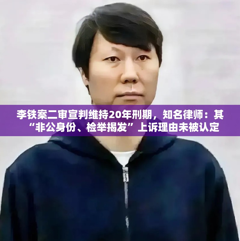 李铁案二审宣判维持20年刑期，知名律师：其“非公身份、检举揭发”上诉理由未被认定-第2张图片-赛丽网