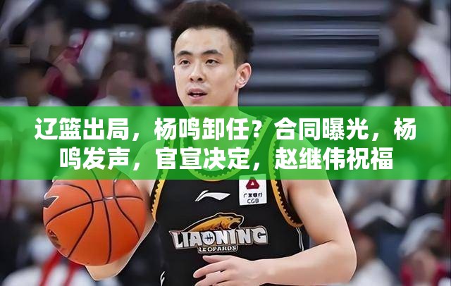 辽篮出局，杨鸣卸任？合同曝光，杨鸣发声，官宣决定，赵继伟祝福-第3张图片-赛丽网