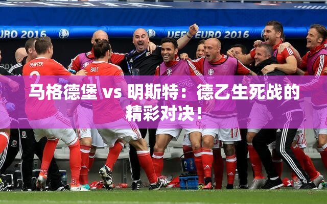 马格德堡 vs 明斯特：德乙生死战的精彩对决！-第3张图片-赛丽网