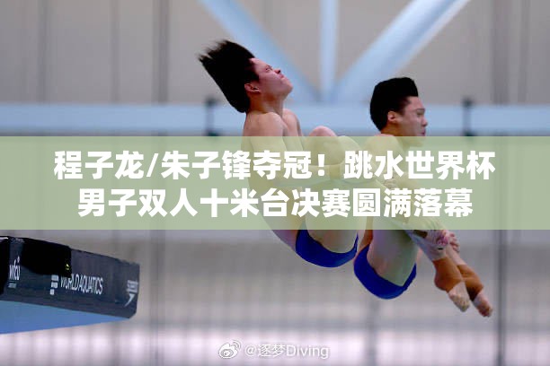 程子龙/朱子锋夺冠！跳水世界杯男子双人十米台决赛圆满落幕-第1张图片-赛丽网