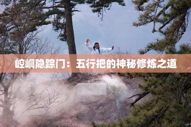 崆峒隐踪门，探索五行把的神秘修炼之道-第1张图片-赛丽网