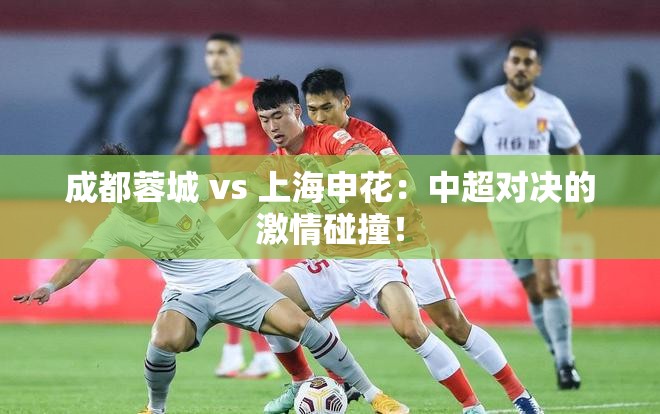 成都蓉城与上海申花，中超赛场上的激情碰撞-第1张图片-赛丽网