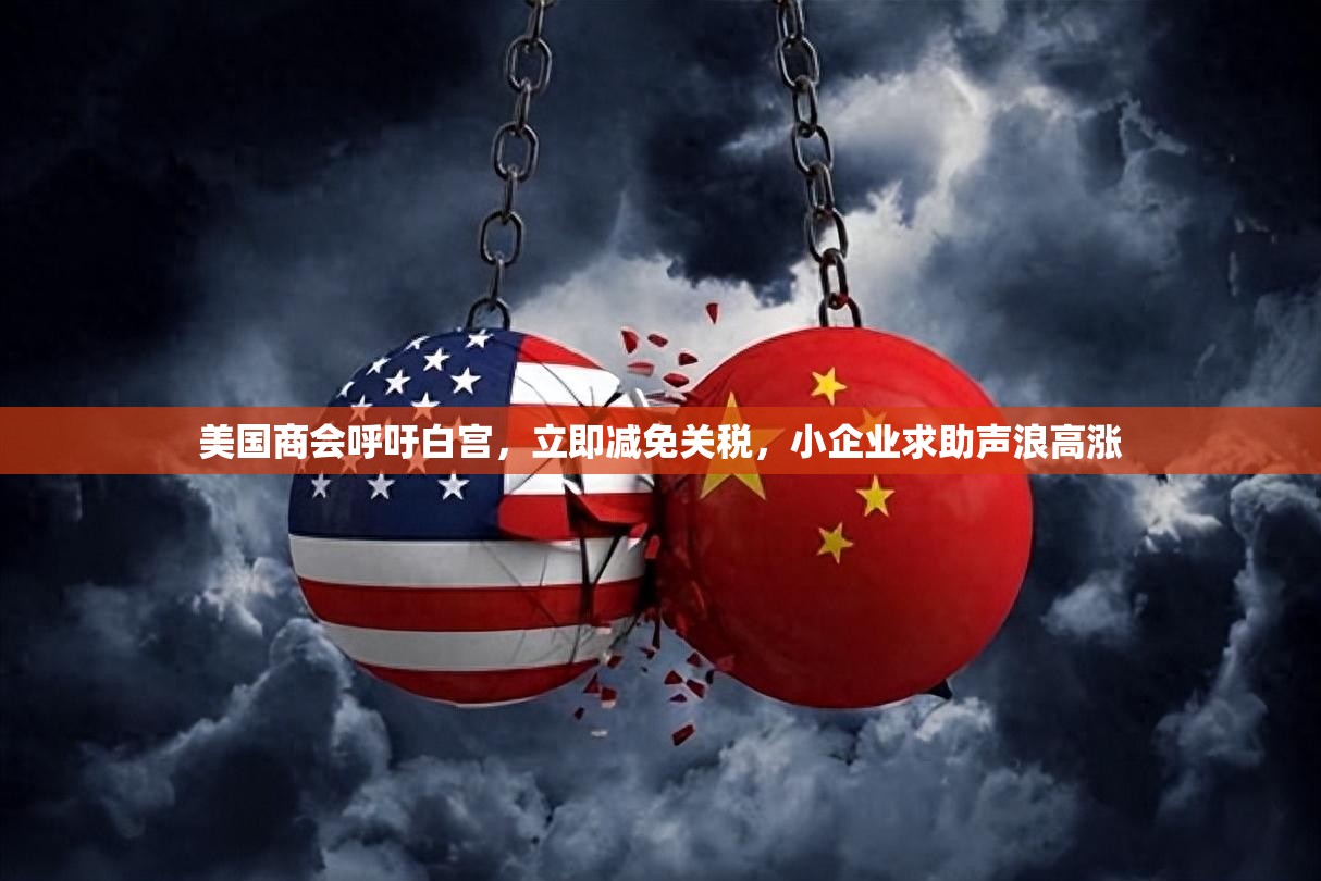 美国商会呼吁白宫，立即减免关税，小企业求助声浪高涨-第1张图片-赛丽网