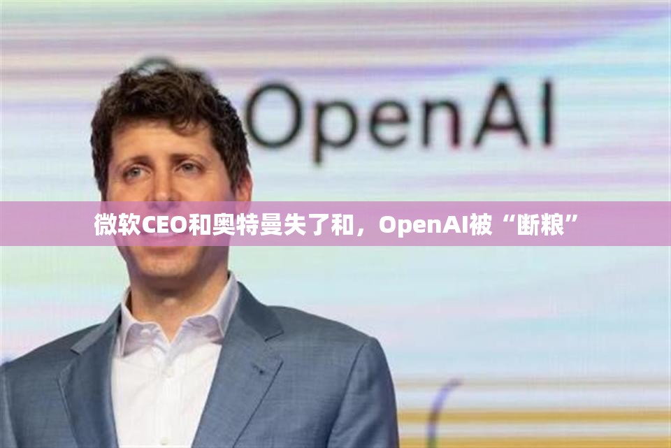 微软与OpenAI决裂，CEO与奥特曼的失和风波-第1张图片-赛丽网