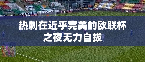 热刺欧联杯之夜，完美表现下的无力自拔-第2张图片-赛丽网